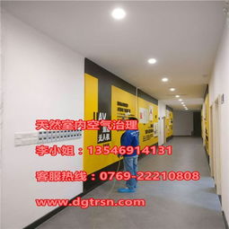 天然室內空氣治理 東莞寮步裝修除甲醛咨詢指南